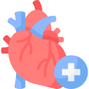 Illustration of a human heart with a medical cross symbol, representing cardiac care and heart-related treatments.