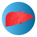 Illustration of a human liver inside a blue circular background, representing liver health and liver-related medical conditions.